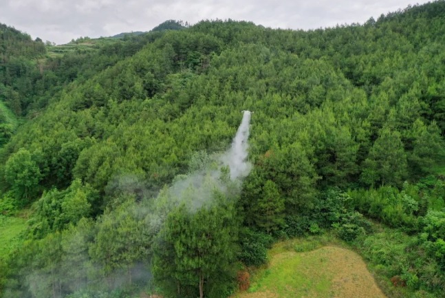 科技护林 智守青山——剑河县应用无人机开展松材线虫病飞防作业